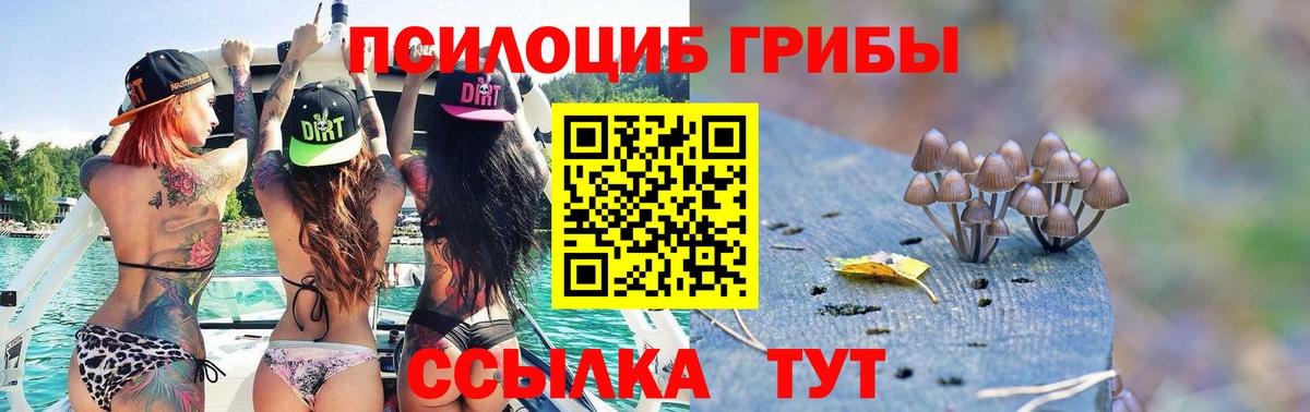 Псилоцибиновые грибы мухоморы Стерлитамак